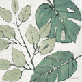 Image Not Available
